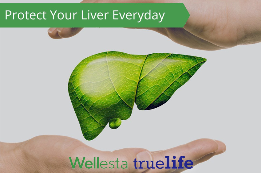 Introducing Wellesta: Your Gateway to Holistic Wellness 